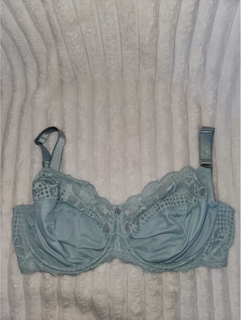 Fantasie Reflect Light Blue Lace Underwire Bra Size 34I